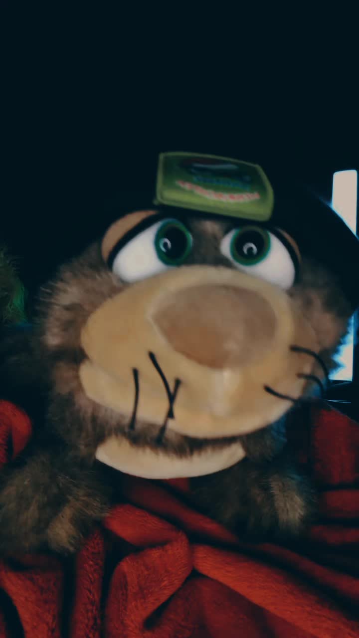 @Rocko-DerWolf