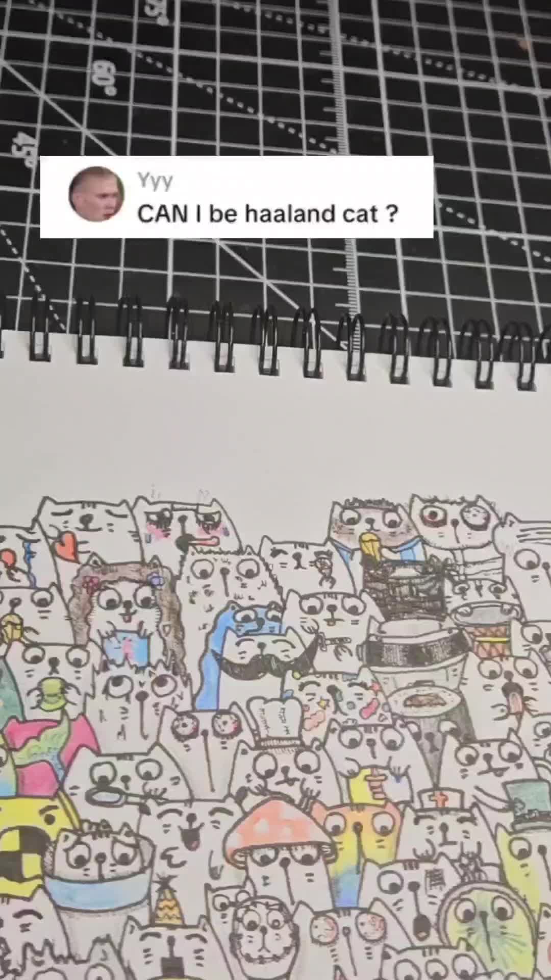 @StackofCatz