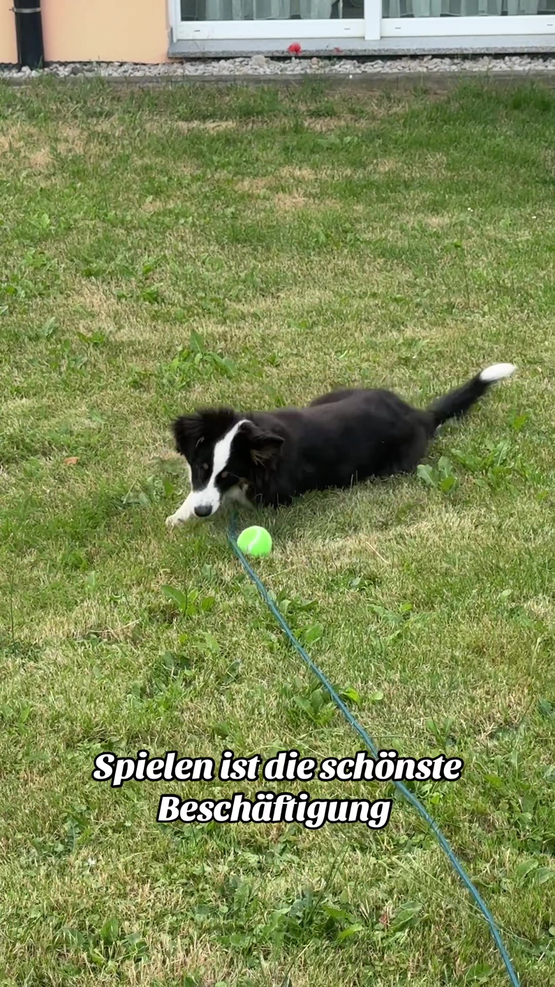 @🐕Di Ana🐕