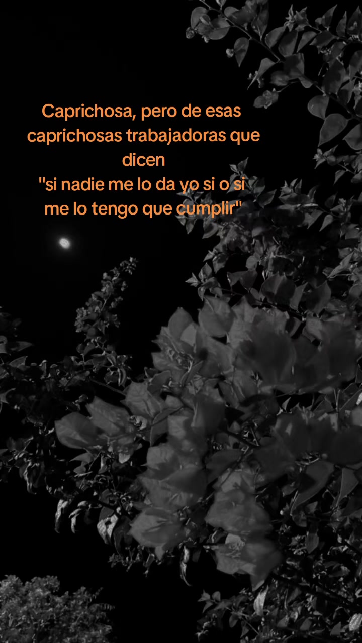 @Lorens prado