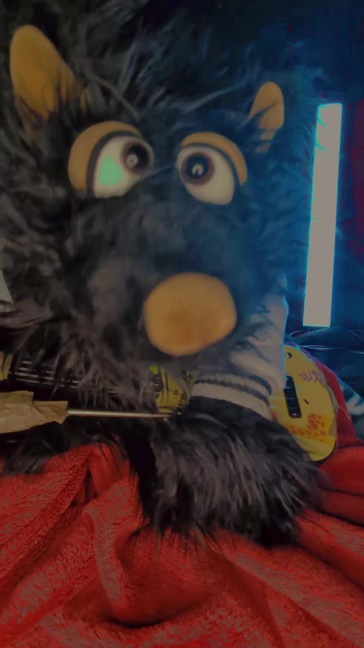 @Rocko-DerWolf