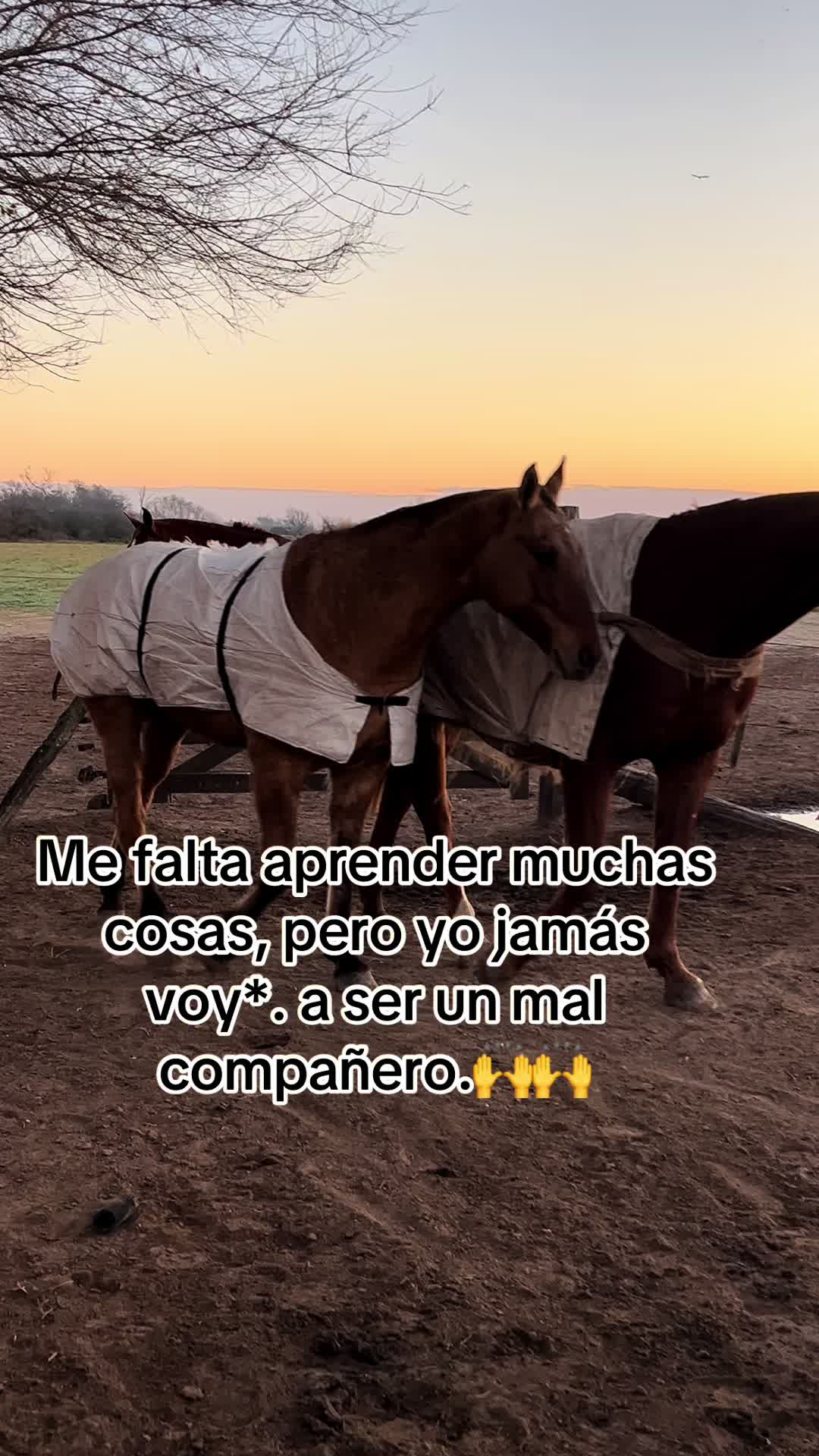@Emaaaaa😎😎