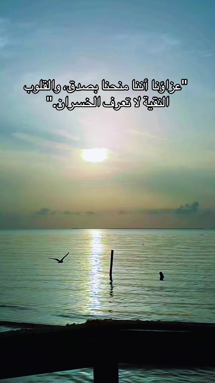 @Omfarouk_7