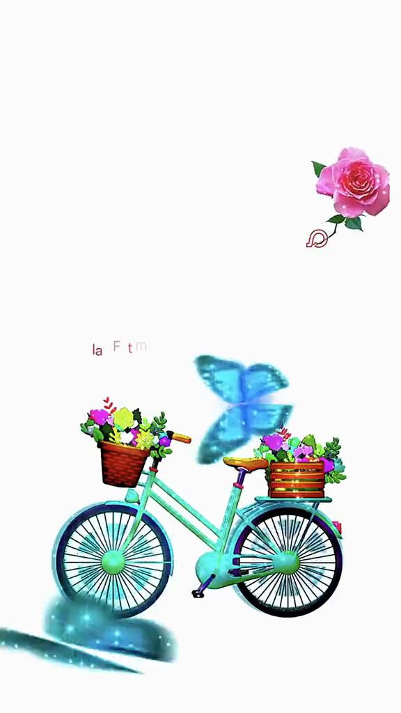 @Alaa Fatima