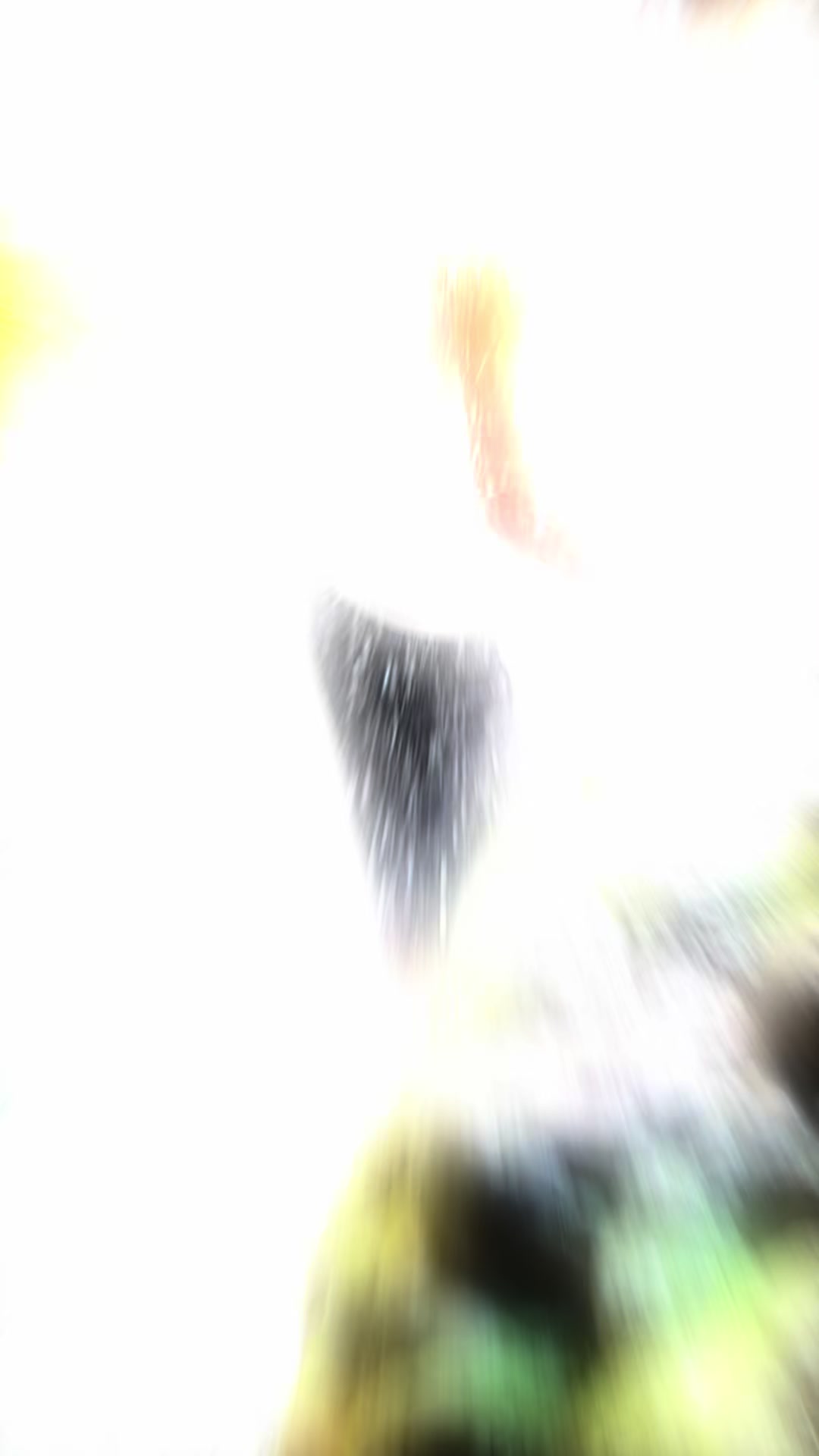 @ضيف الله شقيرات