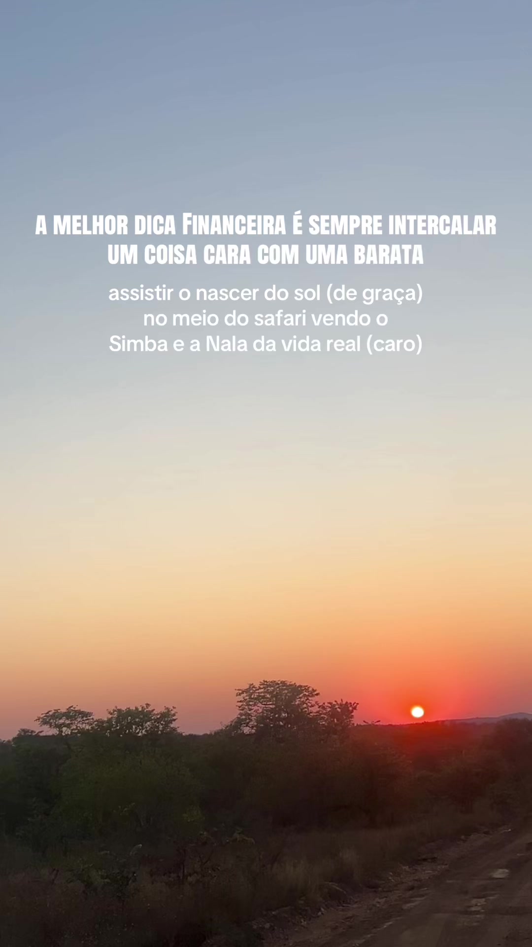 @Mariana Freitas