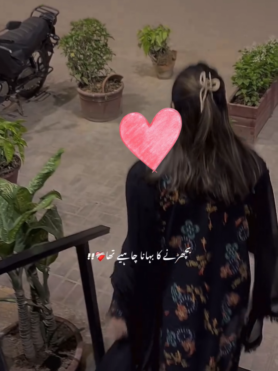 @Rabia Khattak