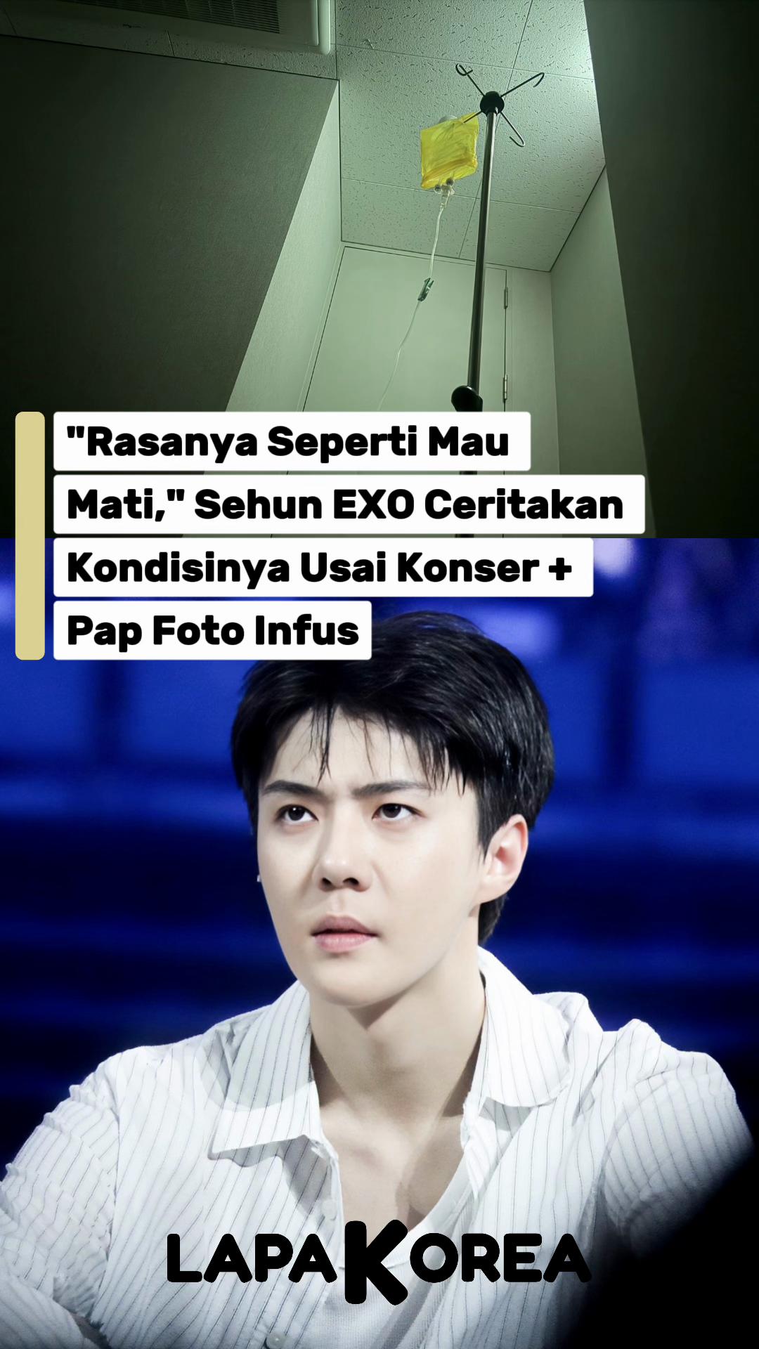 @LapakKorea.com