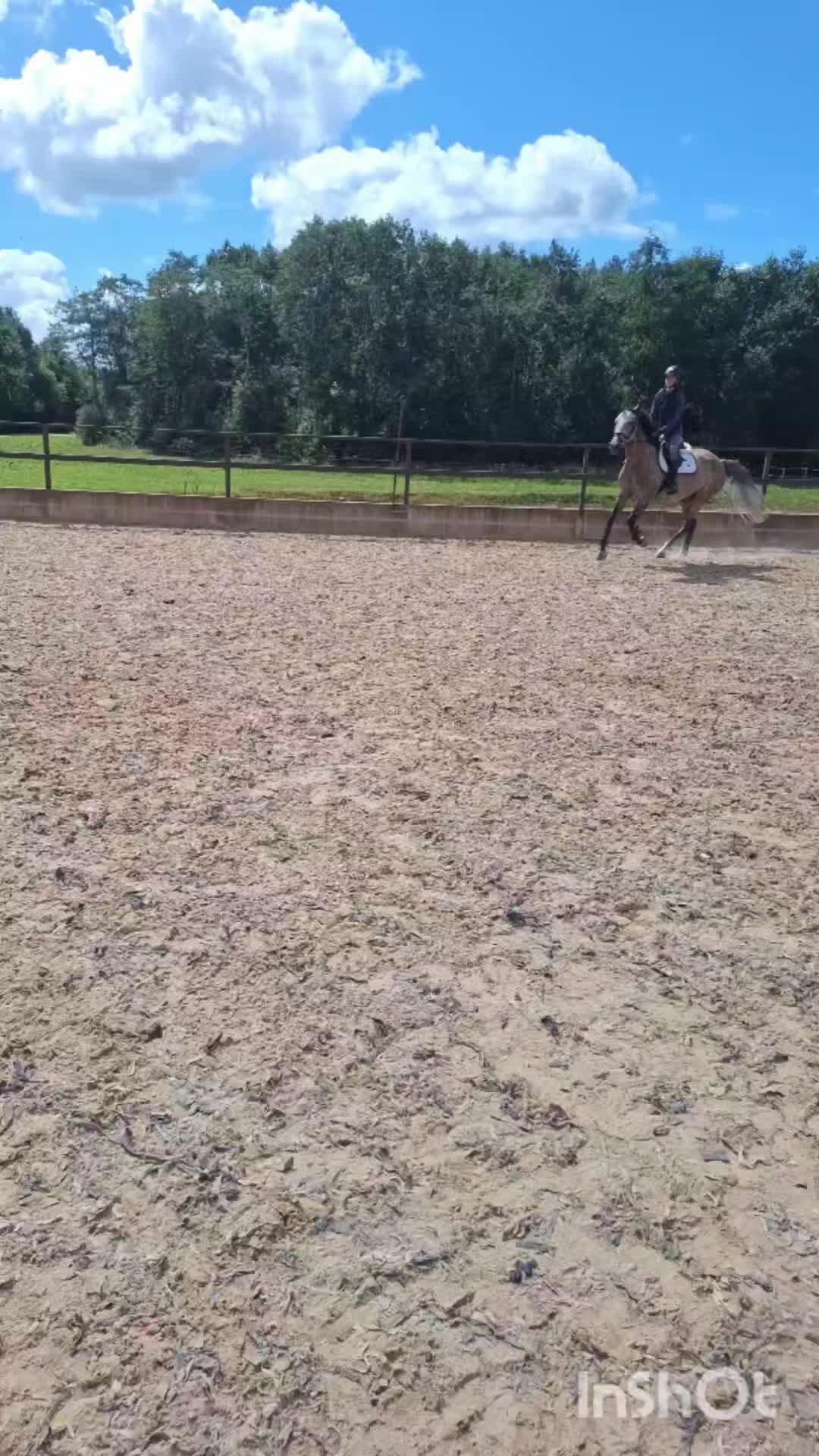 @🐴
