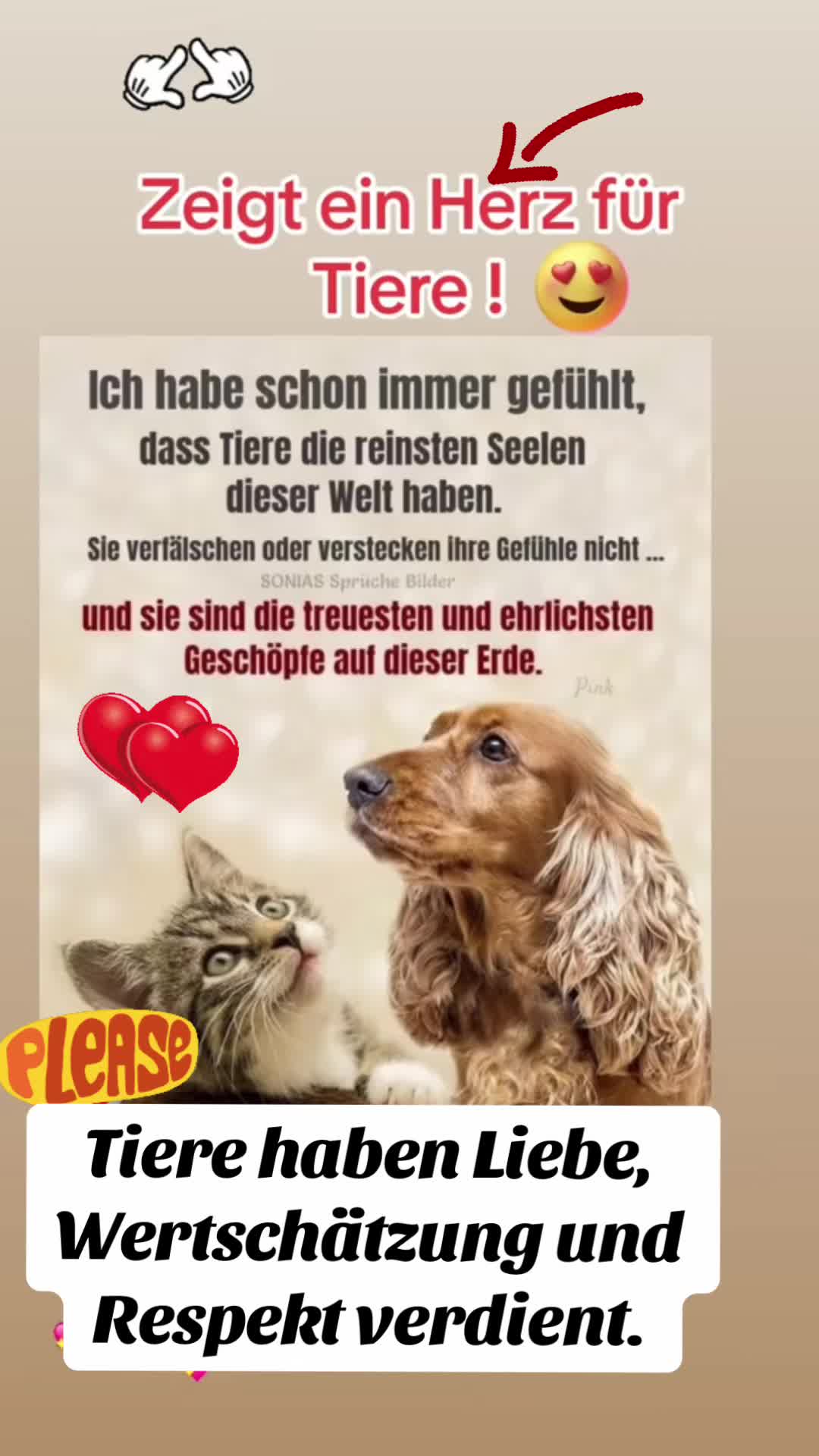 @Ulla. Pfoten-Liebe. ❤️