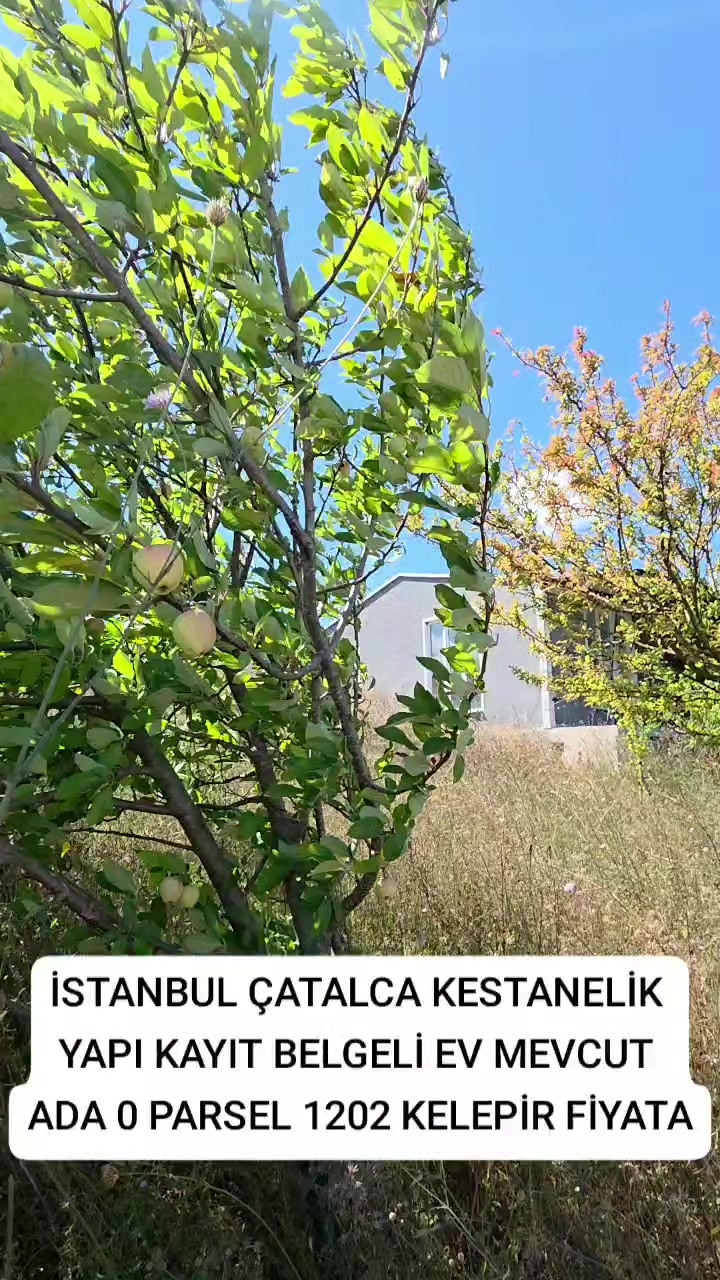 @Satılık Köy Evleri