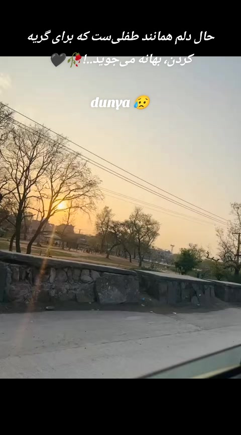 @(◍&bull;ᴗ&bull;◍)❤