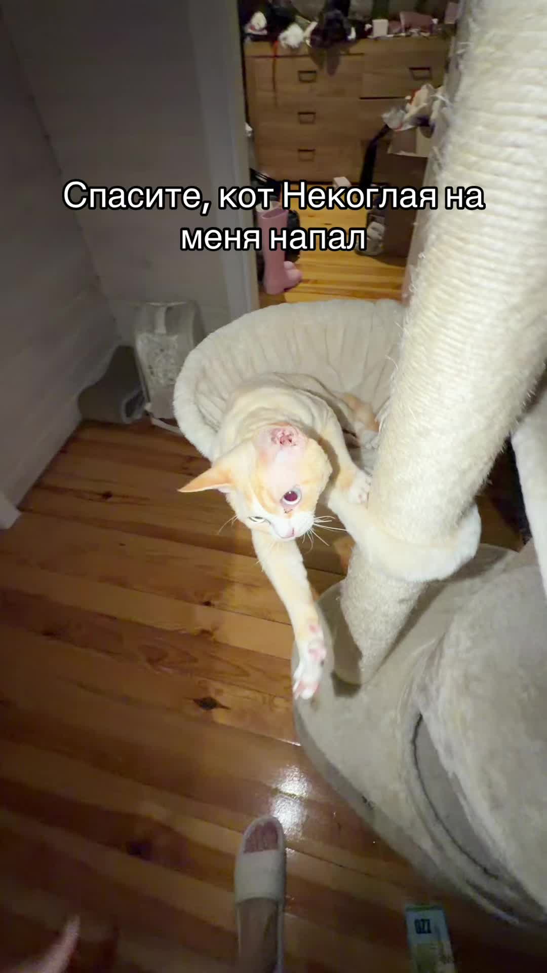 @moneyglaichka