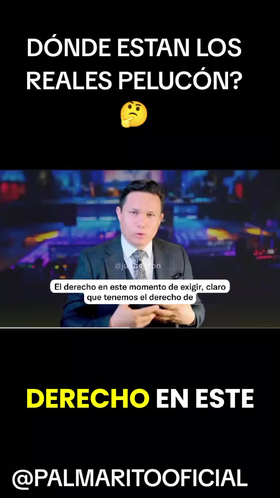 @PALMARITOOFICIAL 🌵