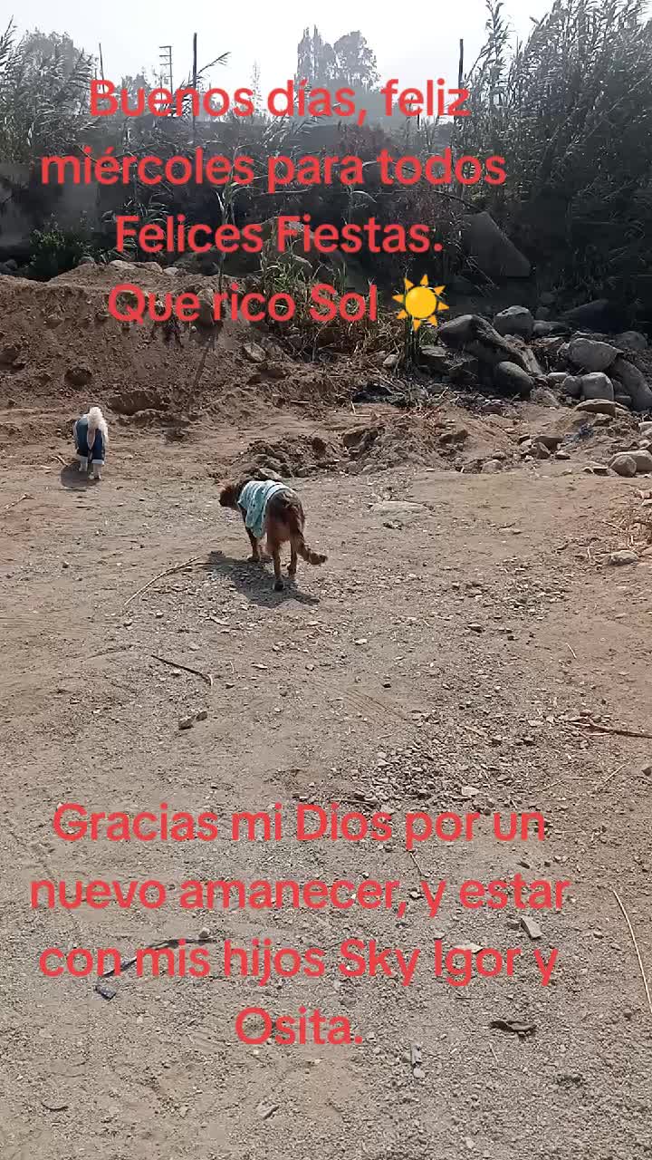 @Sky e Igor 01