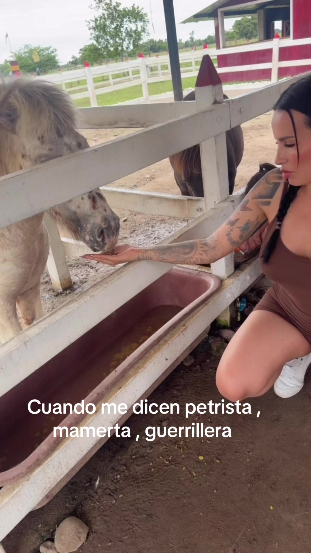 @Alexandra Santafe 👑te sigue