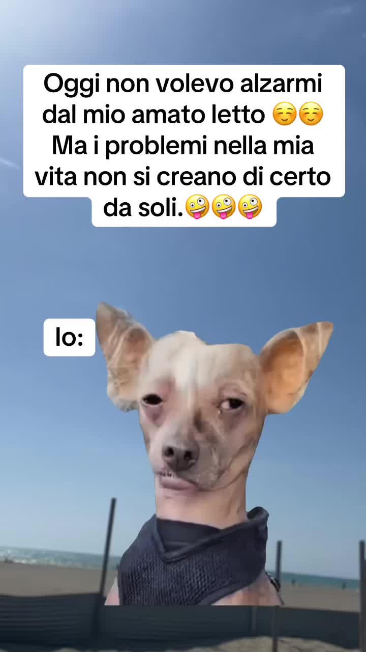 @LOLSempre😜😜