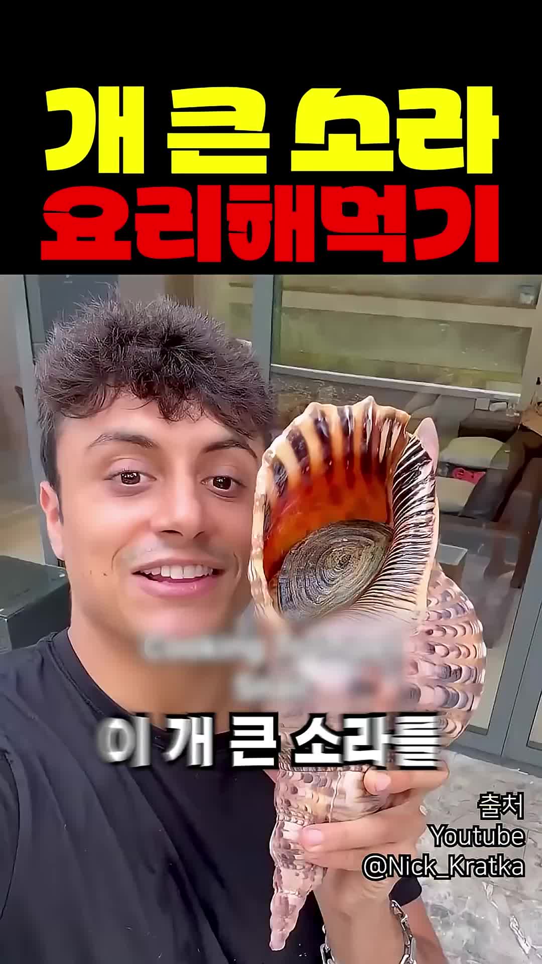 @짱아까미