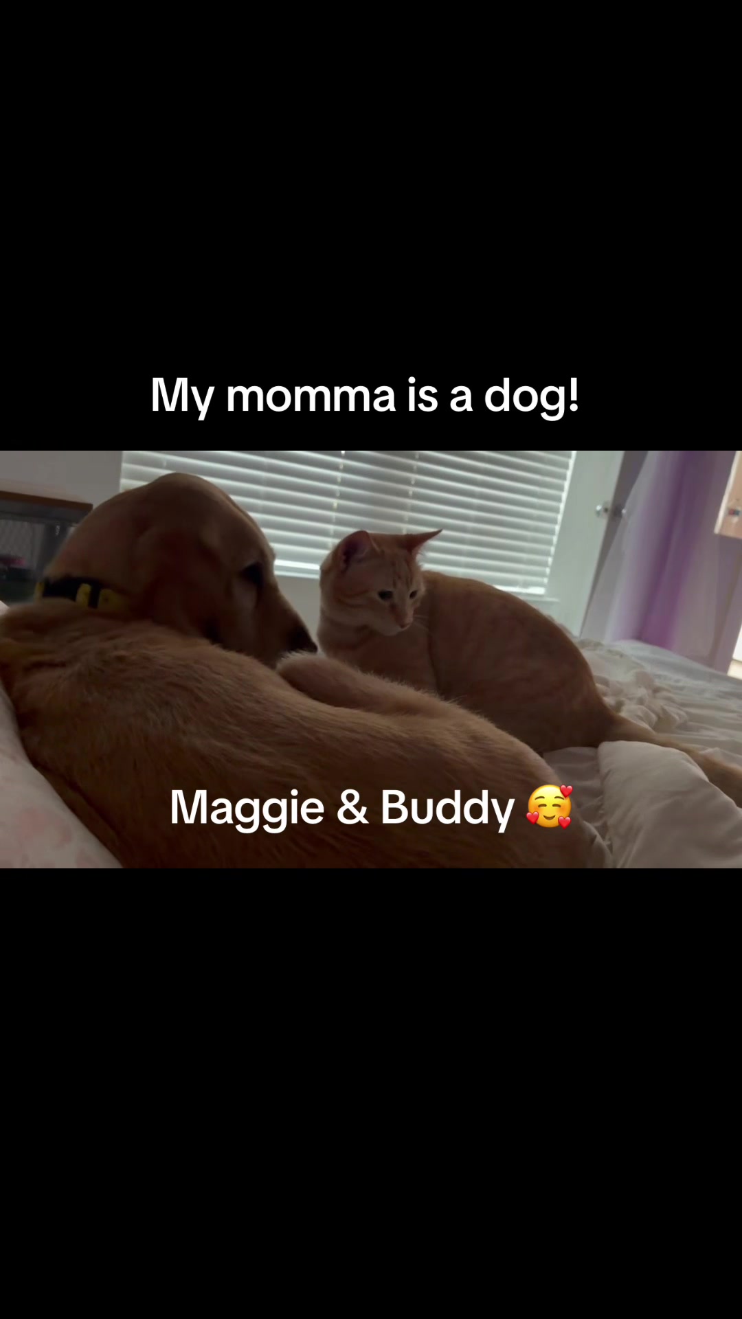 @ButterAndBelle