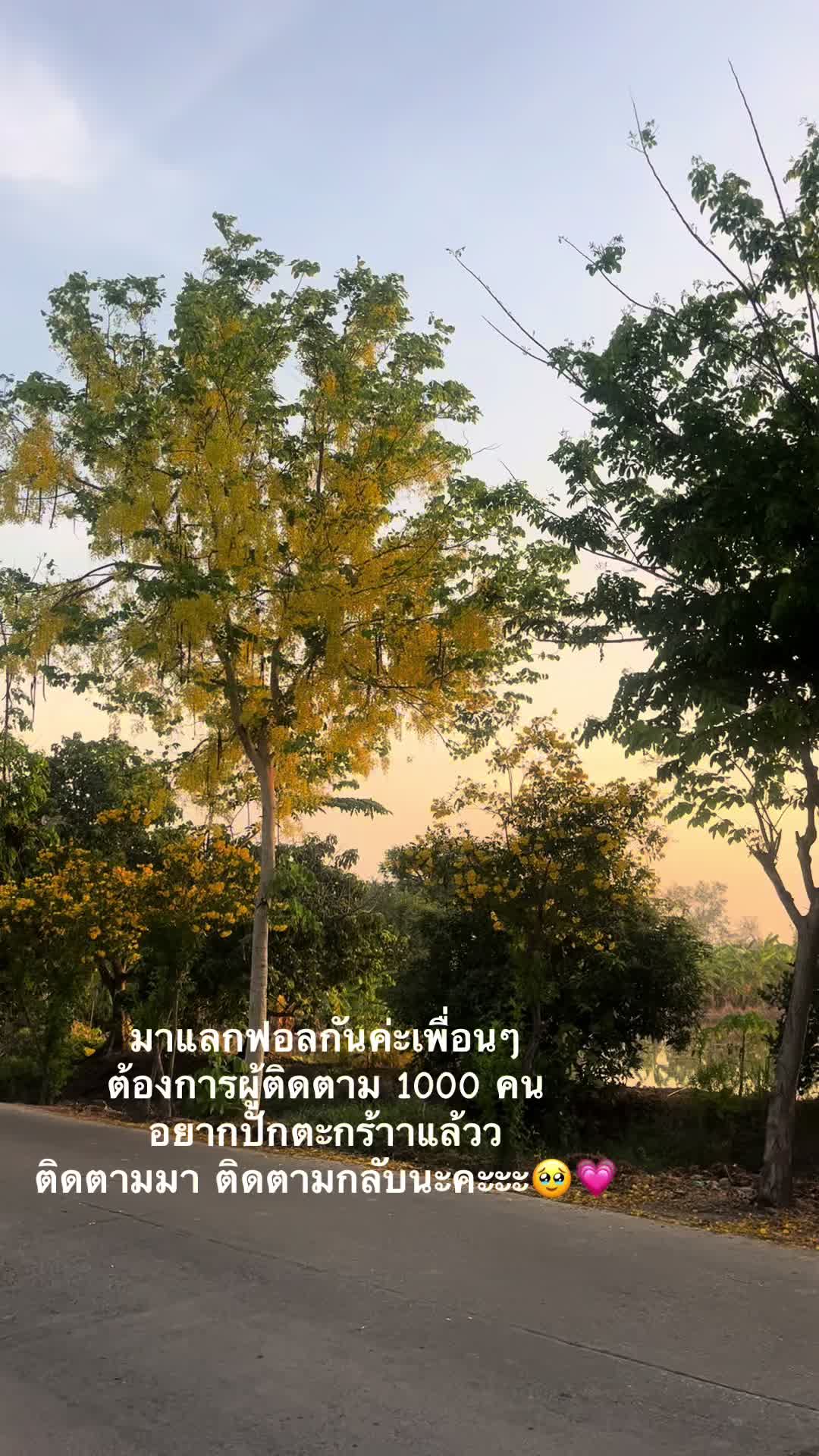 @เกวลิน🫠