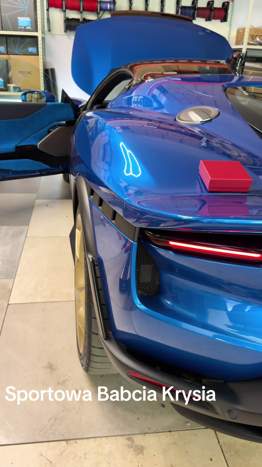 @MEGAKOT 🐱