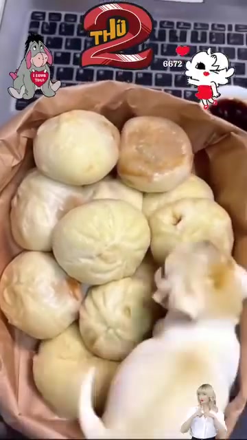@Phạm Văn Thảo