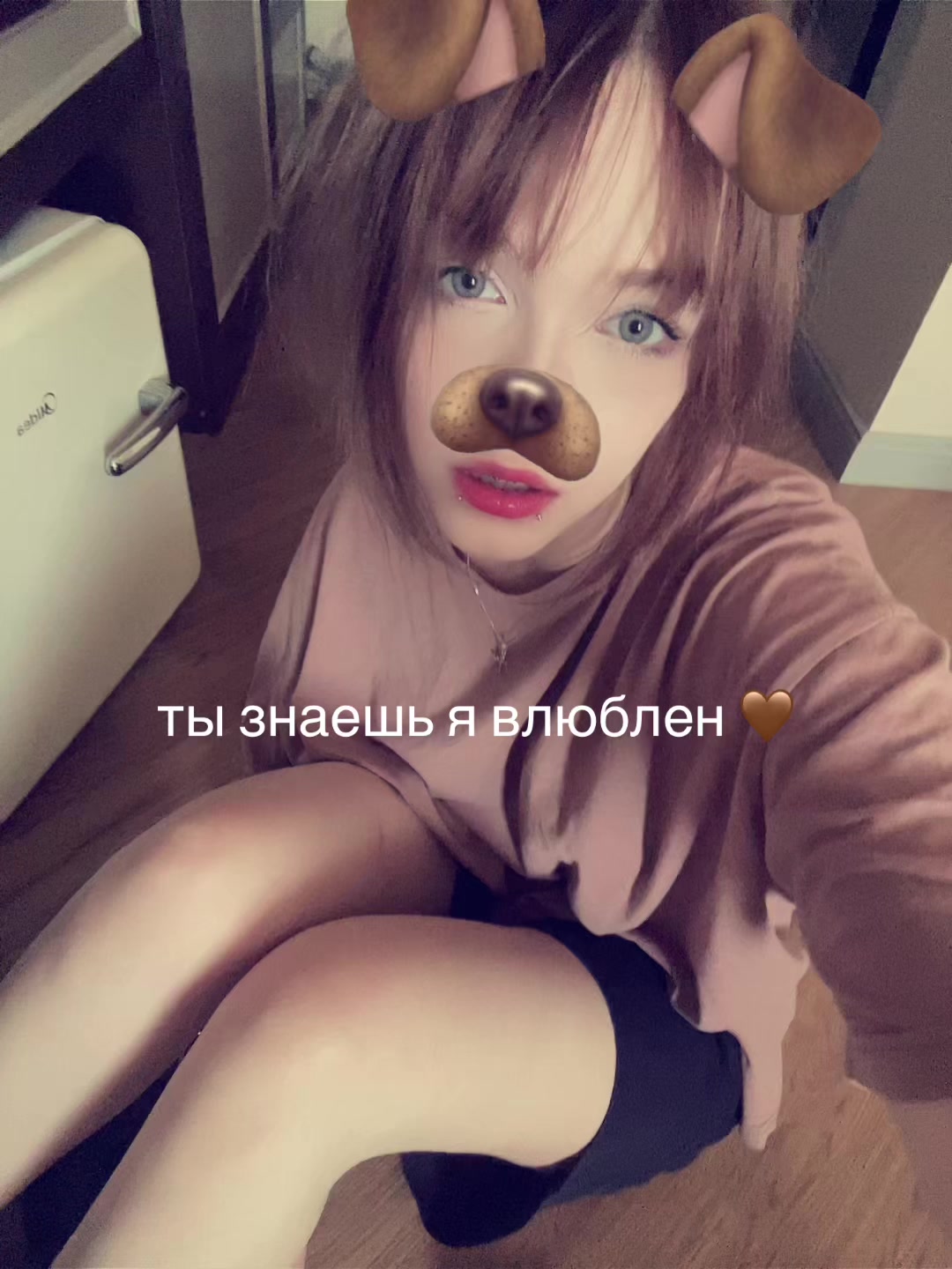 @лацертида