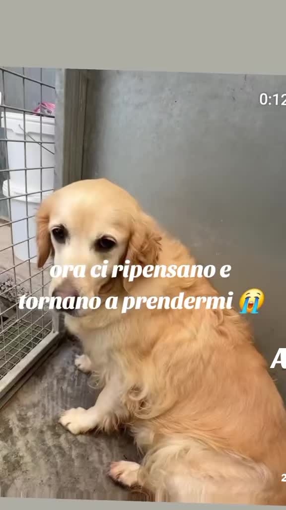 @💎simo💎