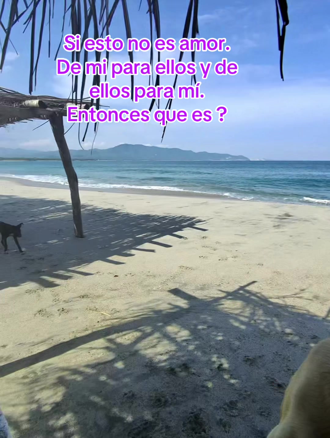 @Rescatando a los Peludos
