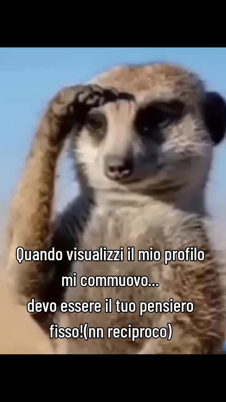 @Lastregaresta
