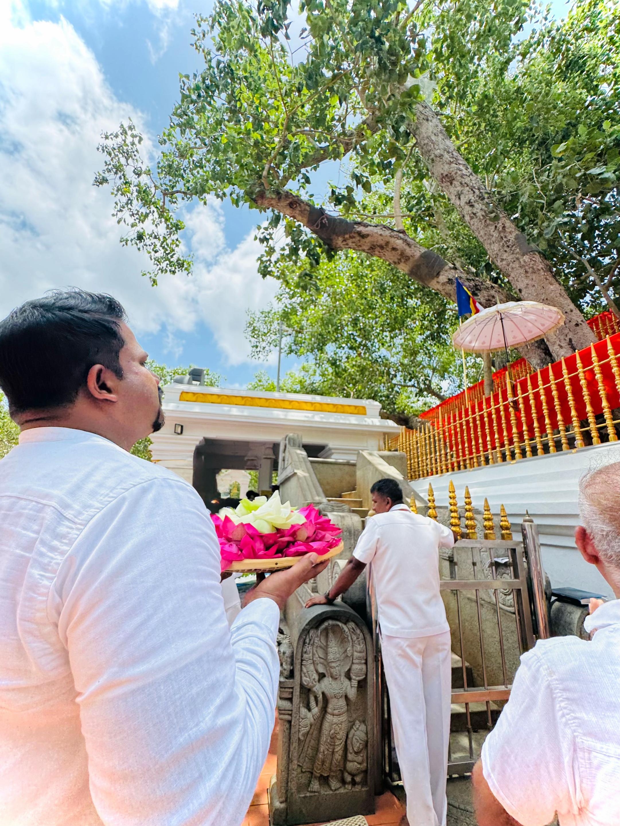 @Bhanuka Ekanayake