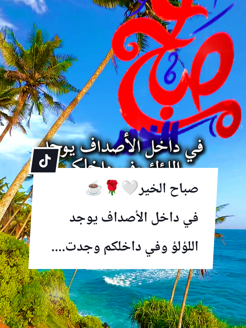 @🌟𝗦𝗼𝘂𝘇𝗮𝗻 𝗖𝗵𝗮𝗺𝘀