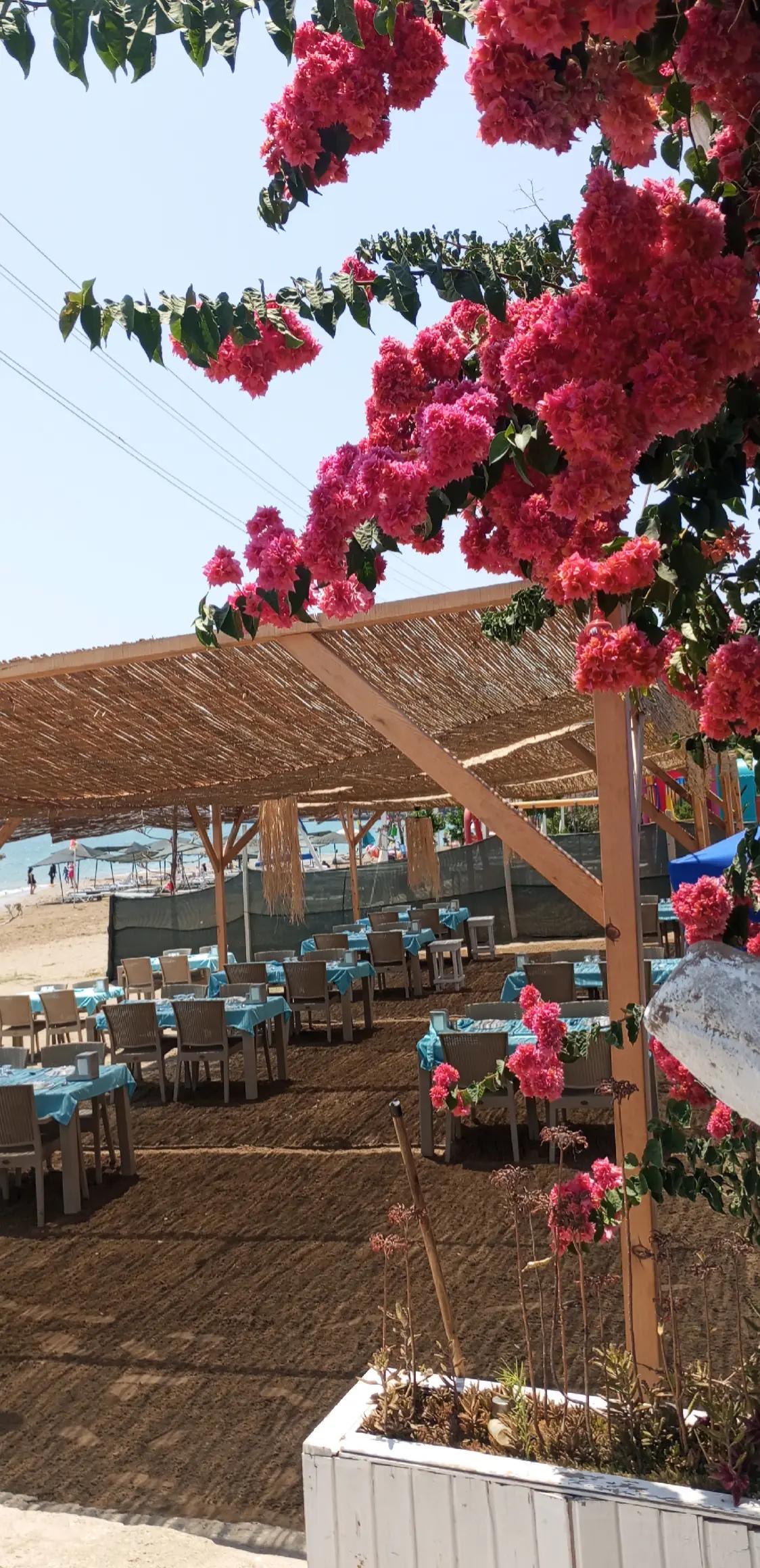 @hanım ağa