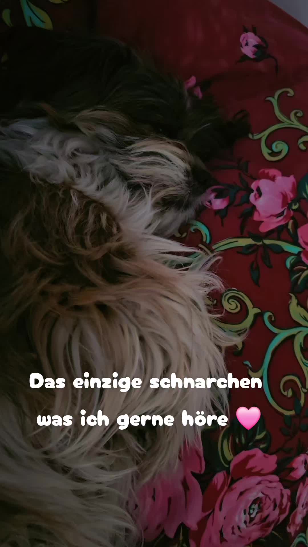 @𝒥𝓊𝓁𝒾𝒶 🌸✨️