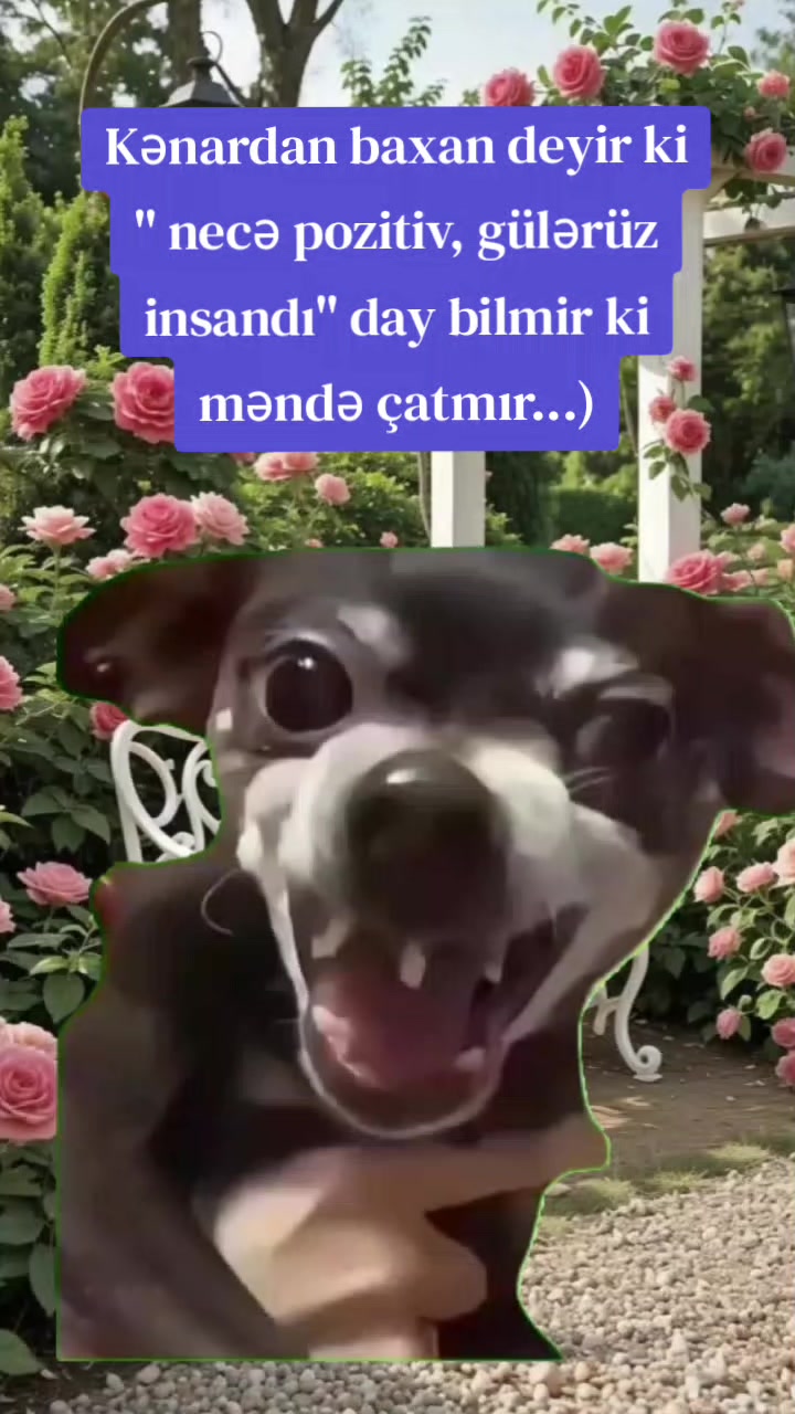 @ArzuMMooD♑