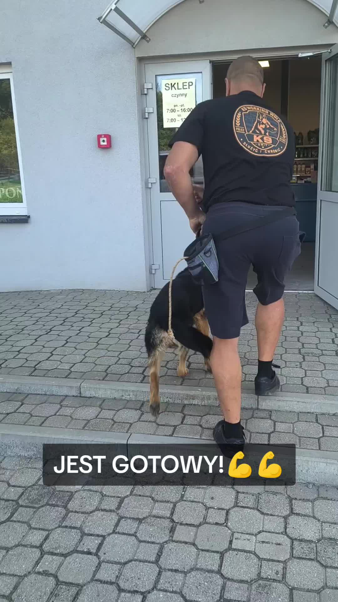 @K9 Working Wolf