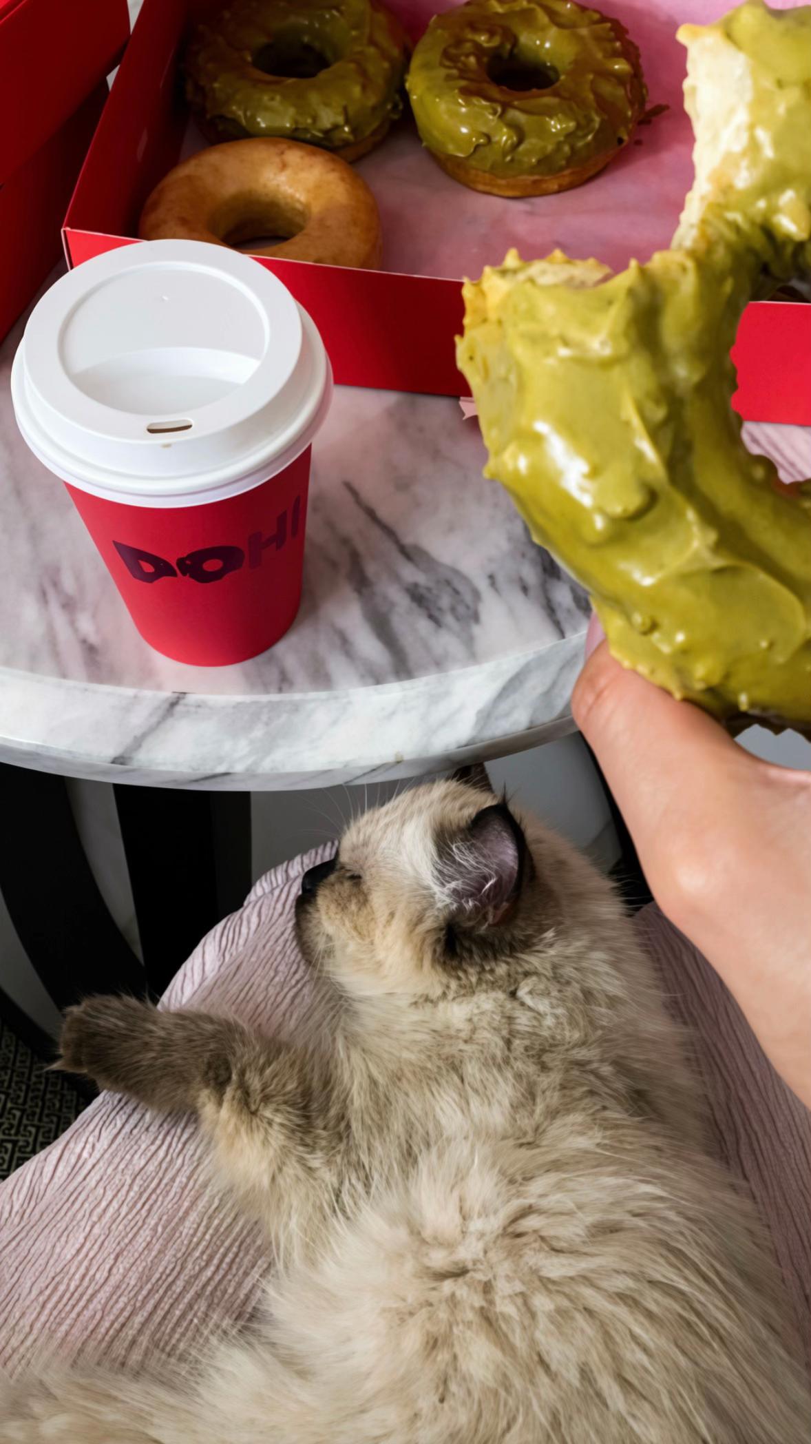@llil.4.4