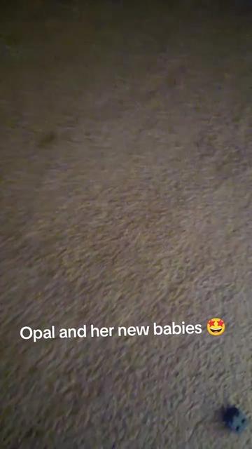 @🩷 Michelle 🩷
