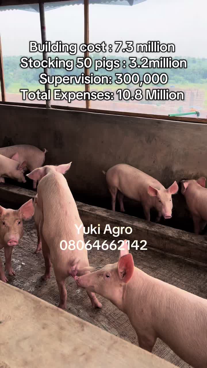 @BabaObaTv @Yuki Agro limited