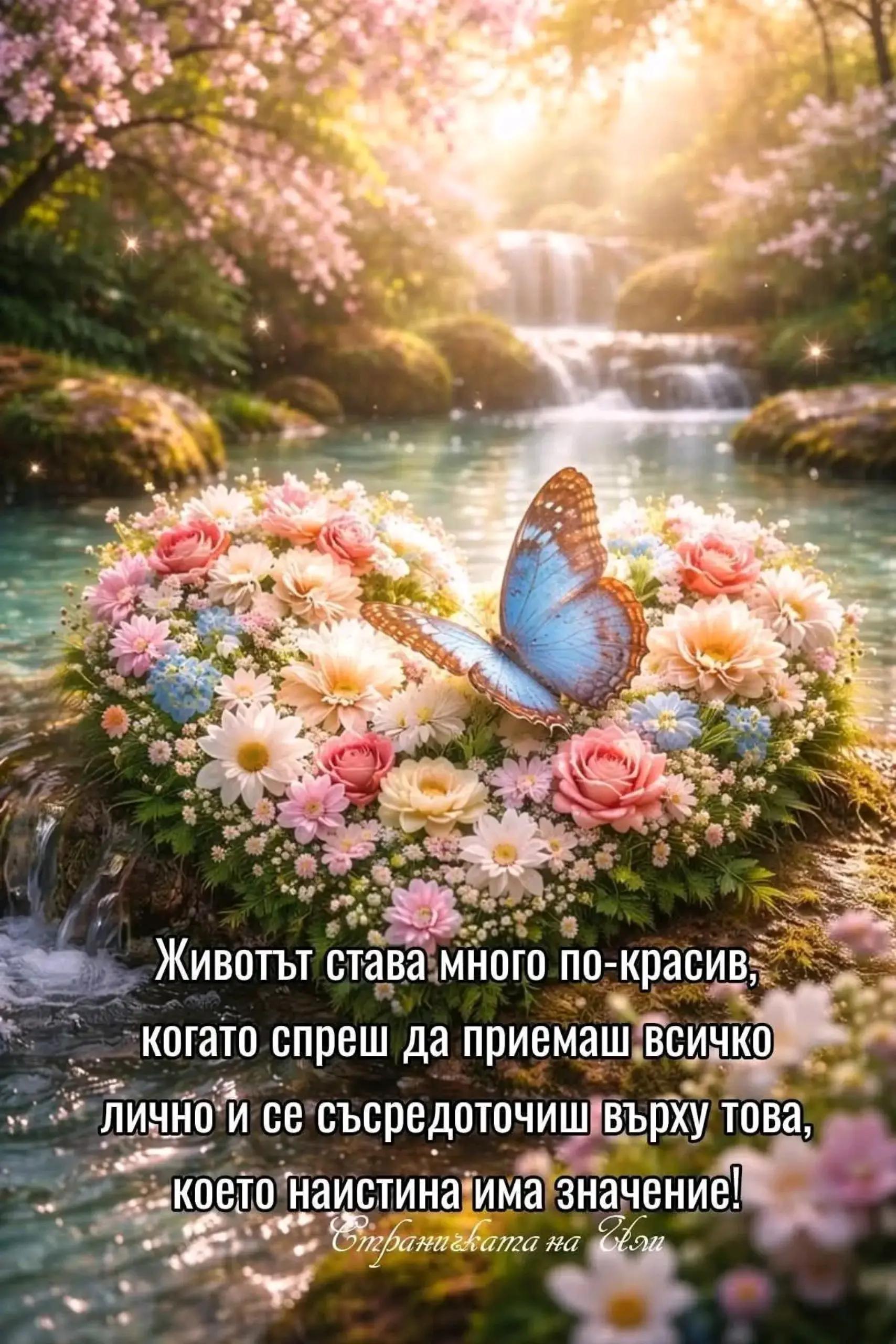 @🇧🇬Mariya_Мария🇧🇬