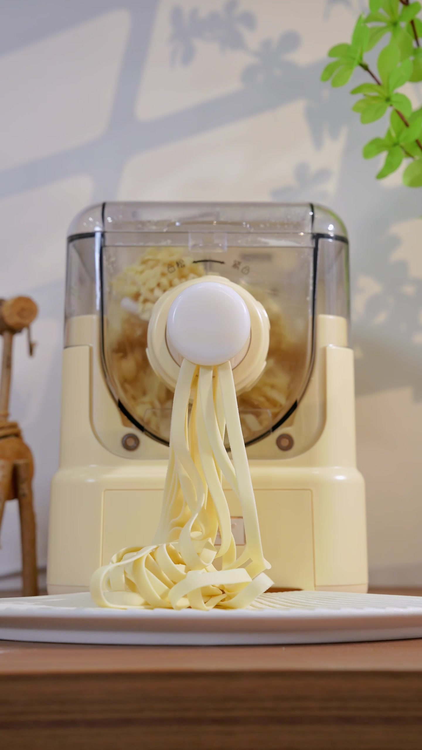 @Pasta maker factory