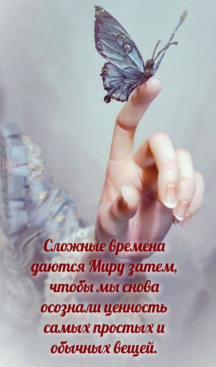 @Ludmila B