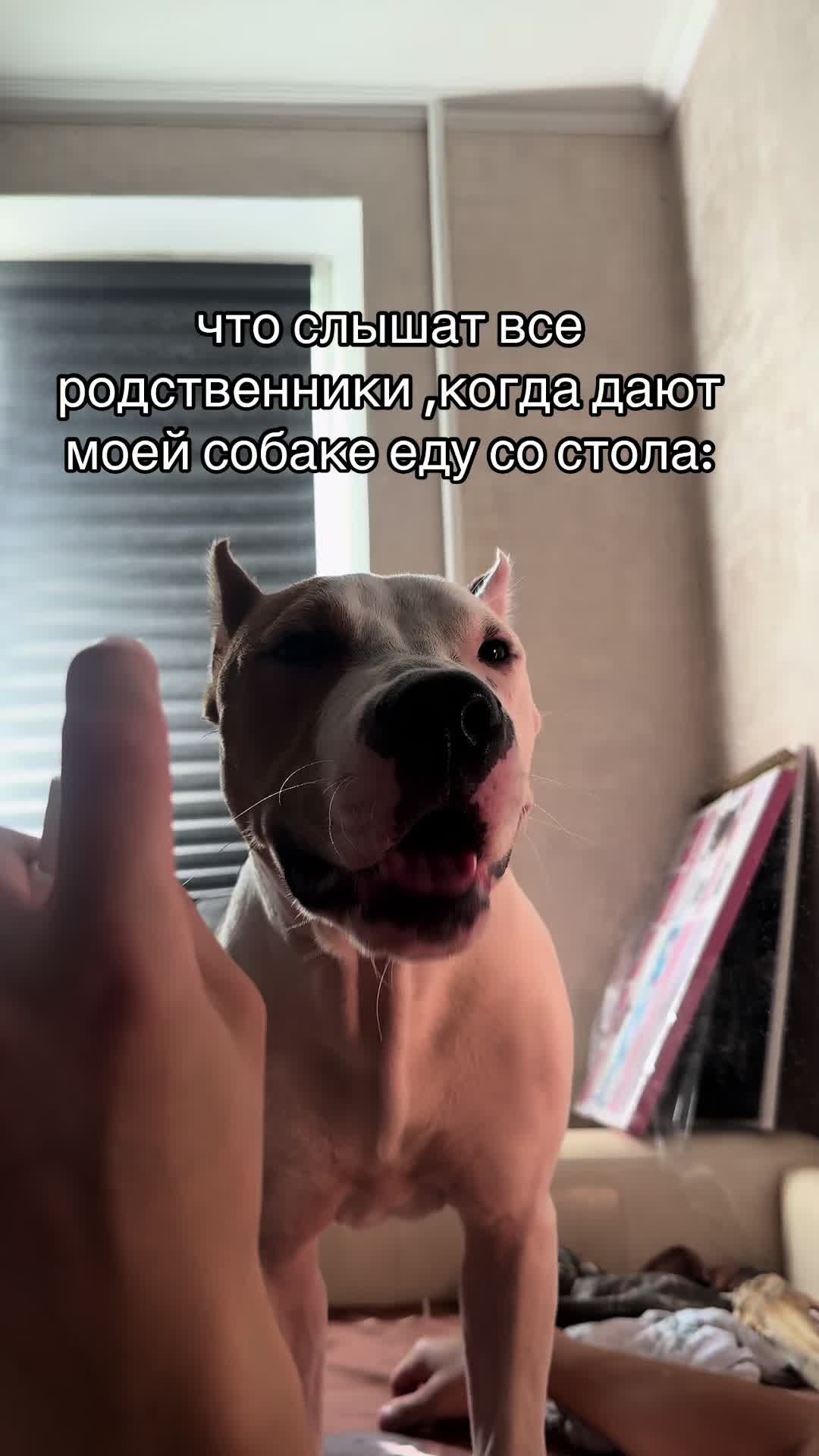 @ТГК- АСТ ГУФ