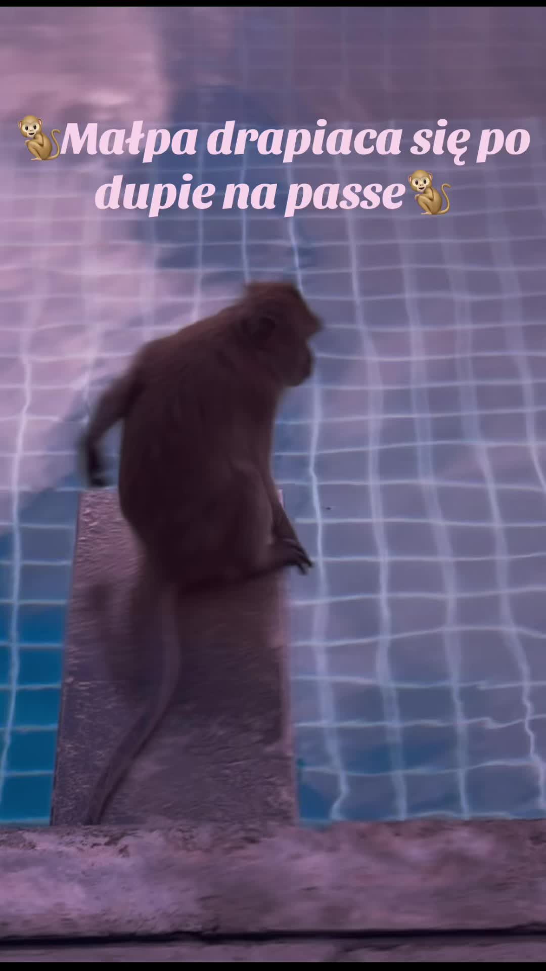 @:/
