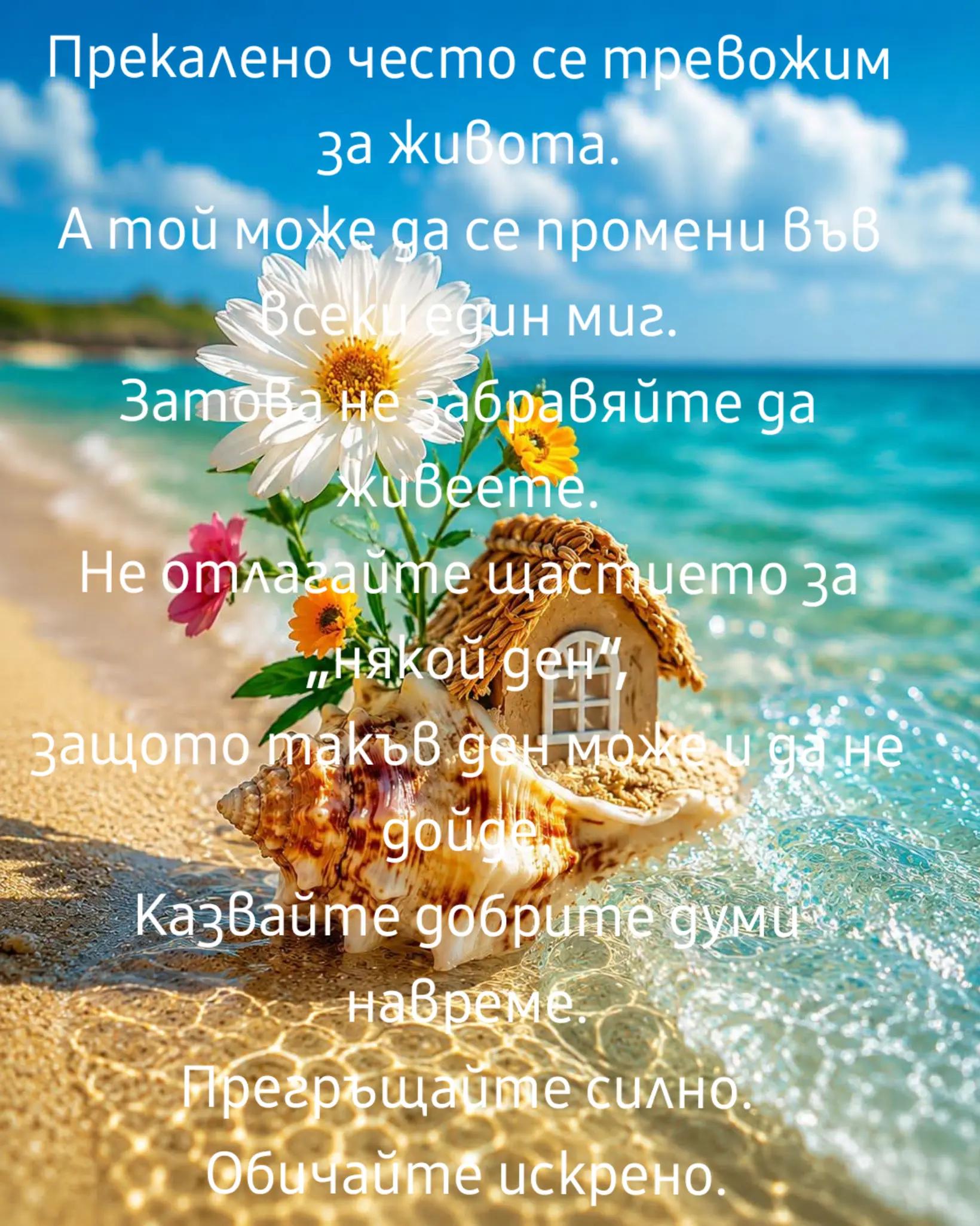 @Ивелина Недкова