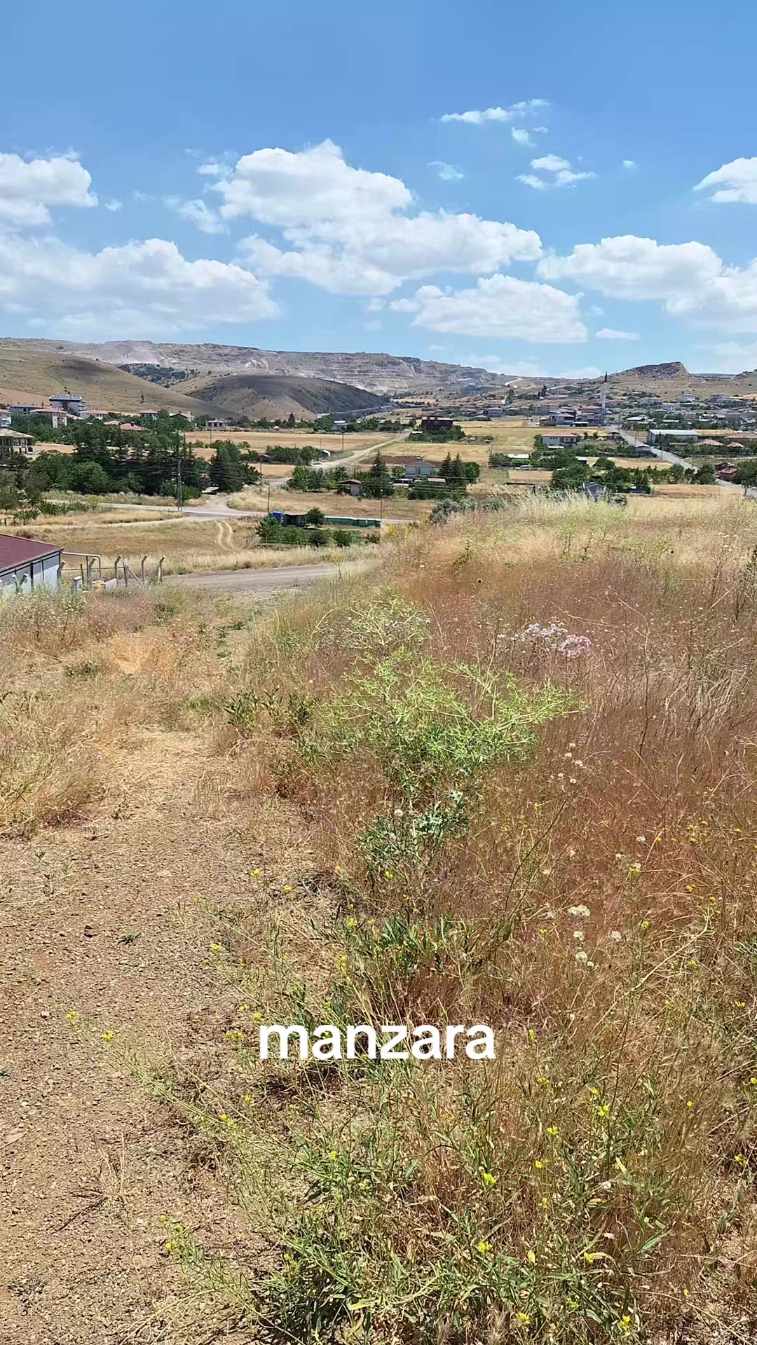 @g&uuml;lo g&uuml;l kız