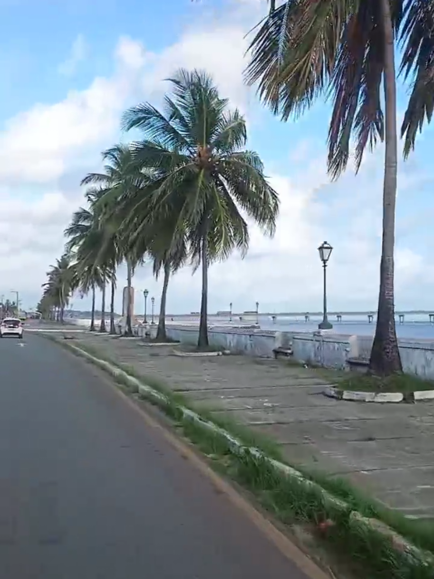 @Nay Ara&uacute;jo