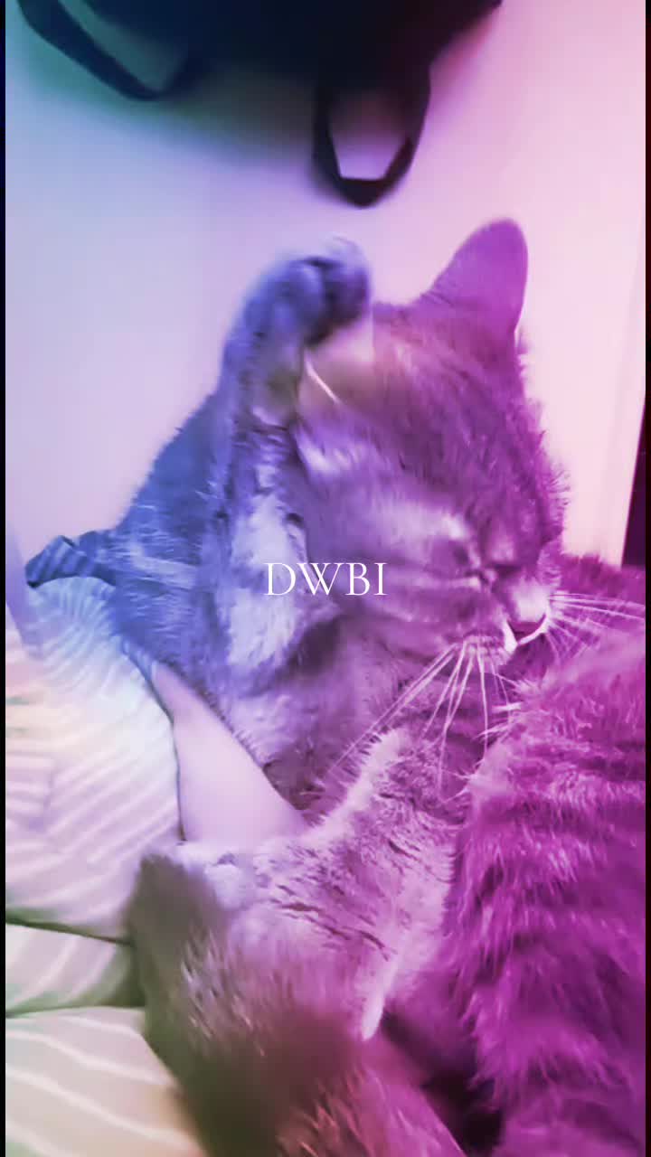 @Sapphirov