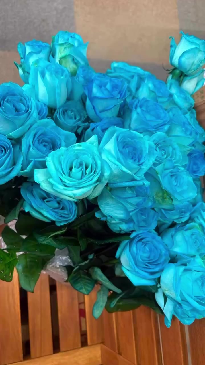 @lapislazuli19721112