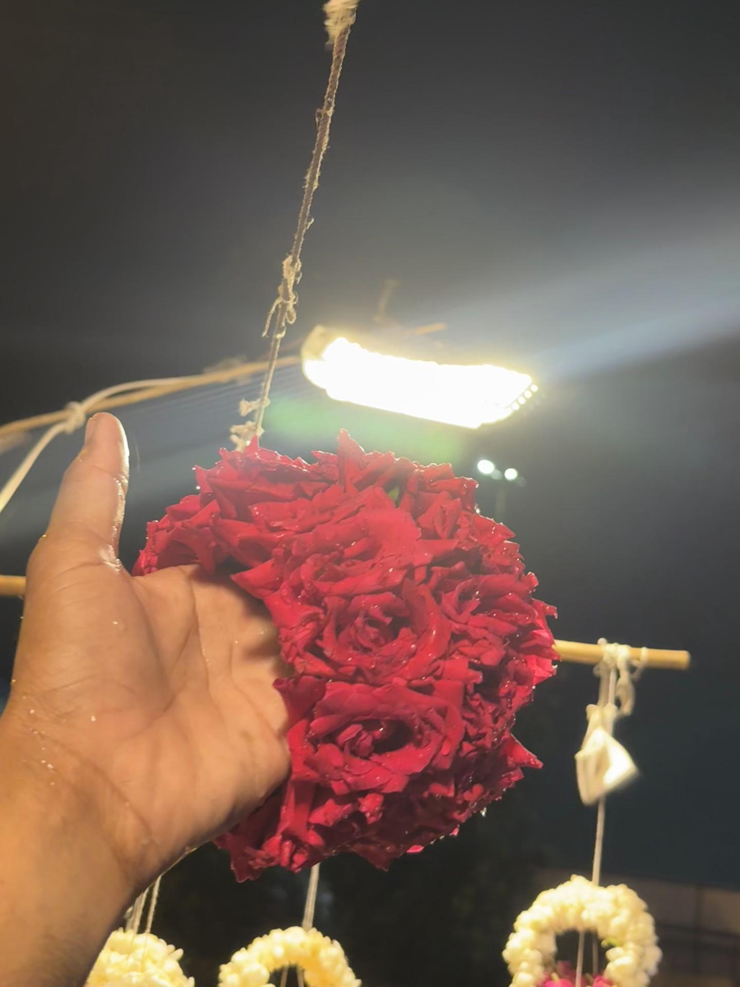 @🌹  𝐍𝐀𝐃𝐈𝐑 𝐅𝐋𝐎𝐖𝐄𝐑 🌹